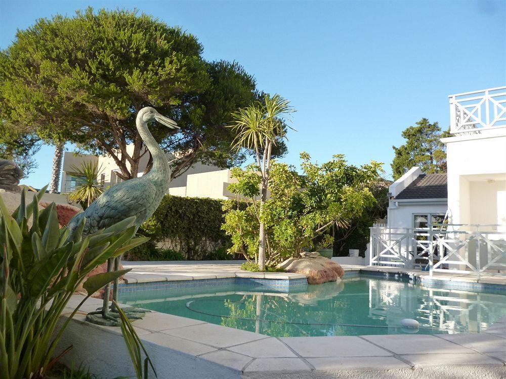 5 Options Guest House Bloubergstrand Bagian luar foto